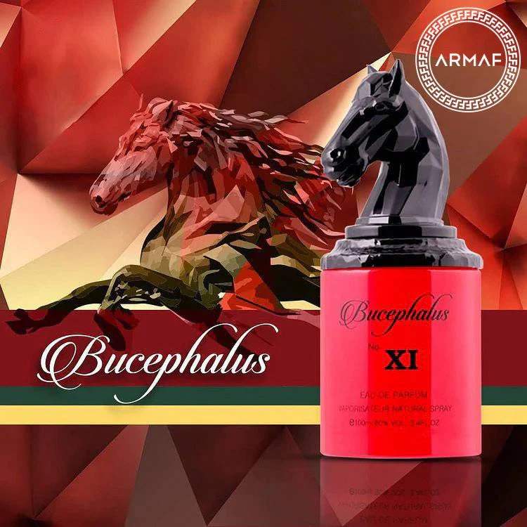 Bucephalus XI ARMAF NICHE 100ml - Image 2