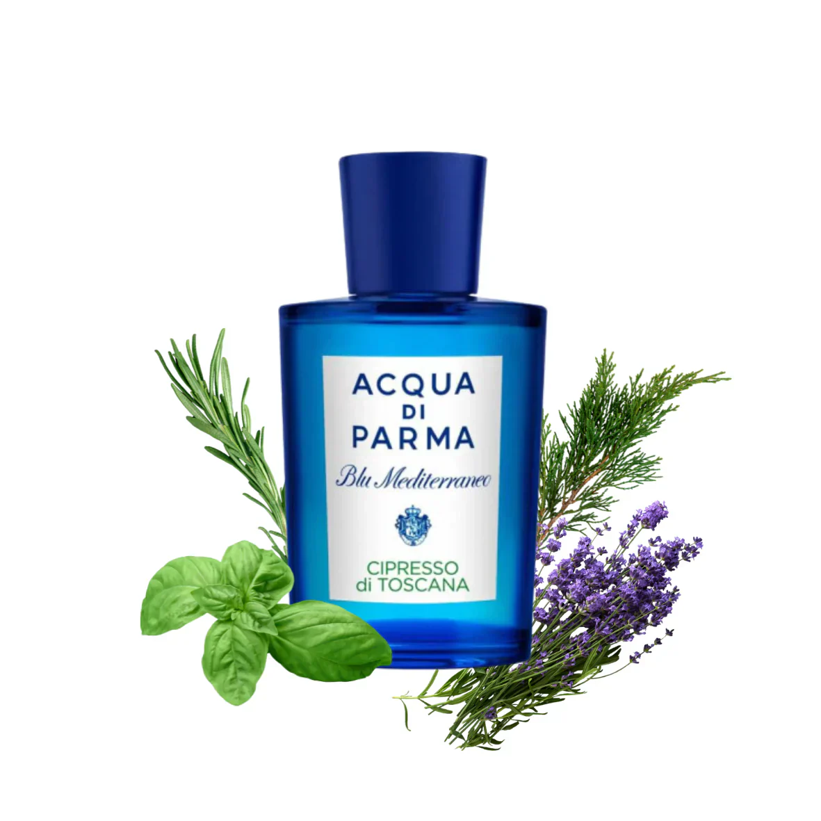 Cipresso Di Toscana ACQUA DI PARMA - Muestra 5 ml