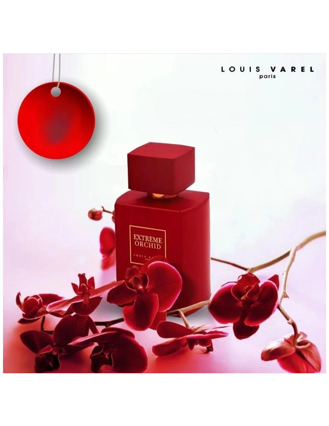 Extreme Orchid LOUIS VAREL 100ml - Muestra 10 ml - Image 3
