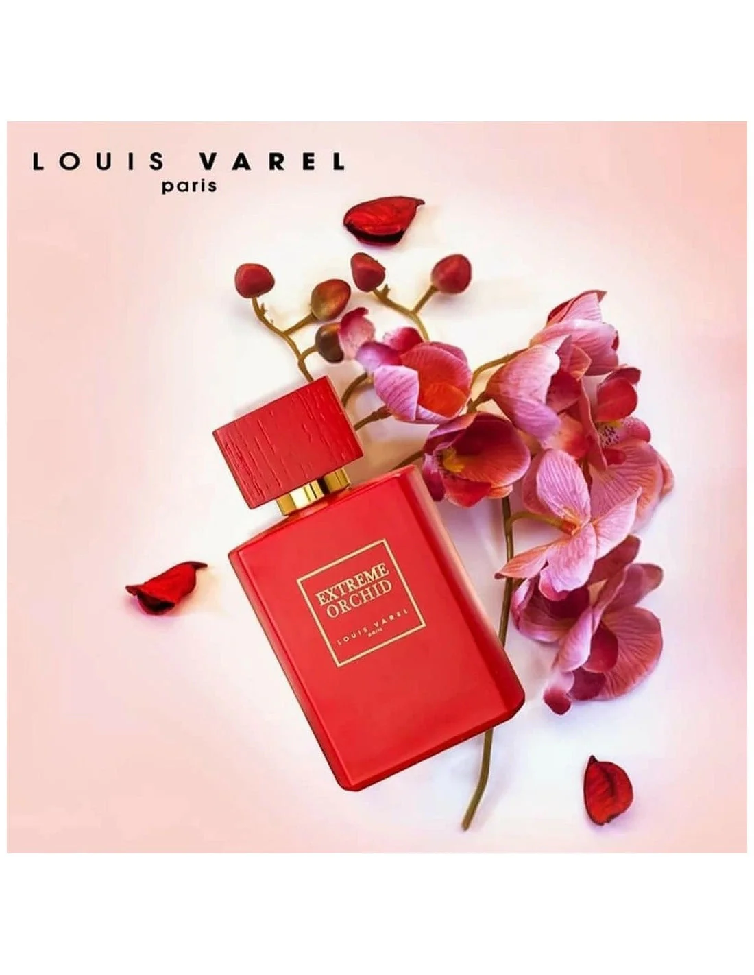 Extreme Orchid LOUIS VAREL 100ml - Muestra 5 ml - Image 4