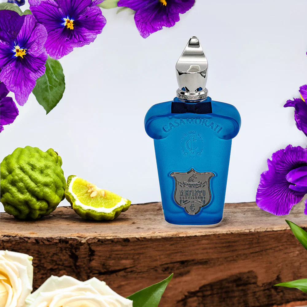 Mefisto Gentiluomo CASAMORATI XERJOFF - Image 3