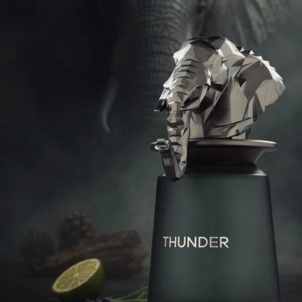 Thunder FRENCH AVENUE