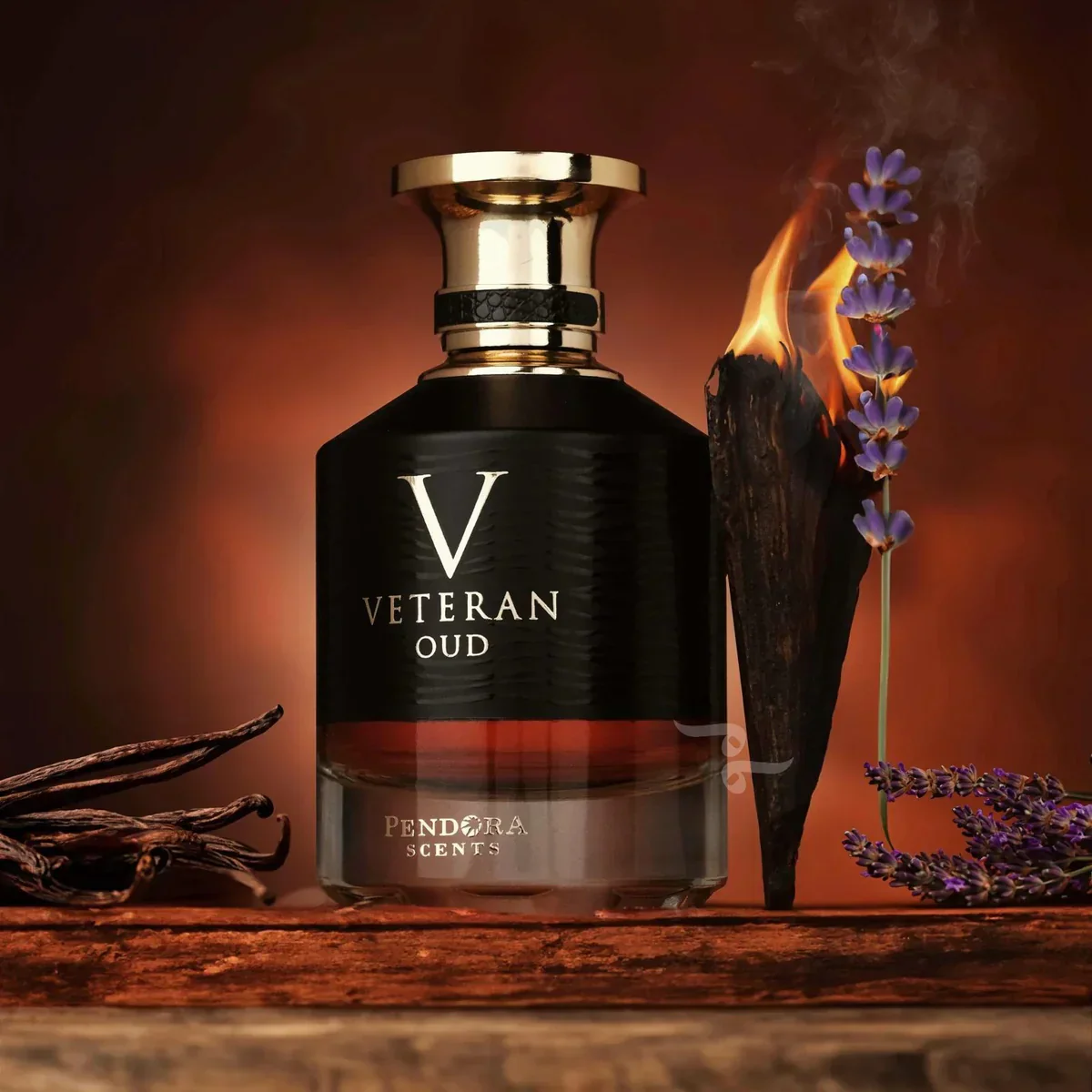 Veteran Oud PENDORA SCENTS 100ml - Image 4